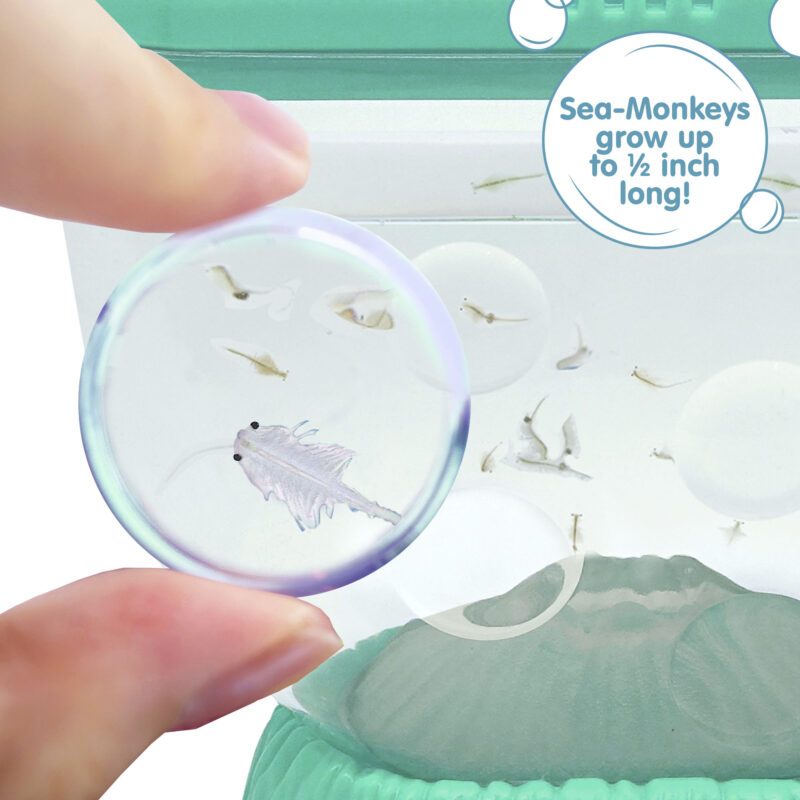 Sea-Monkeys Ocean Volcano - Image 4
