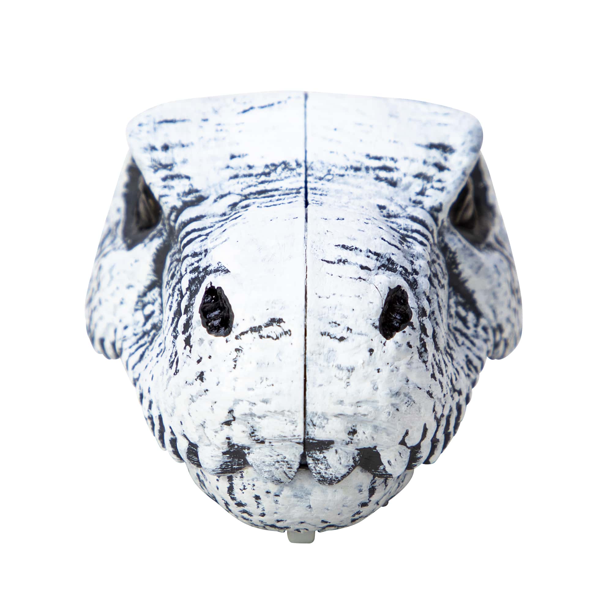 Chomp & Go Dino Skulls - Image 6